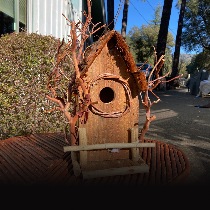 Bluebird Bird House