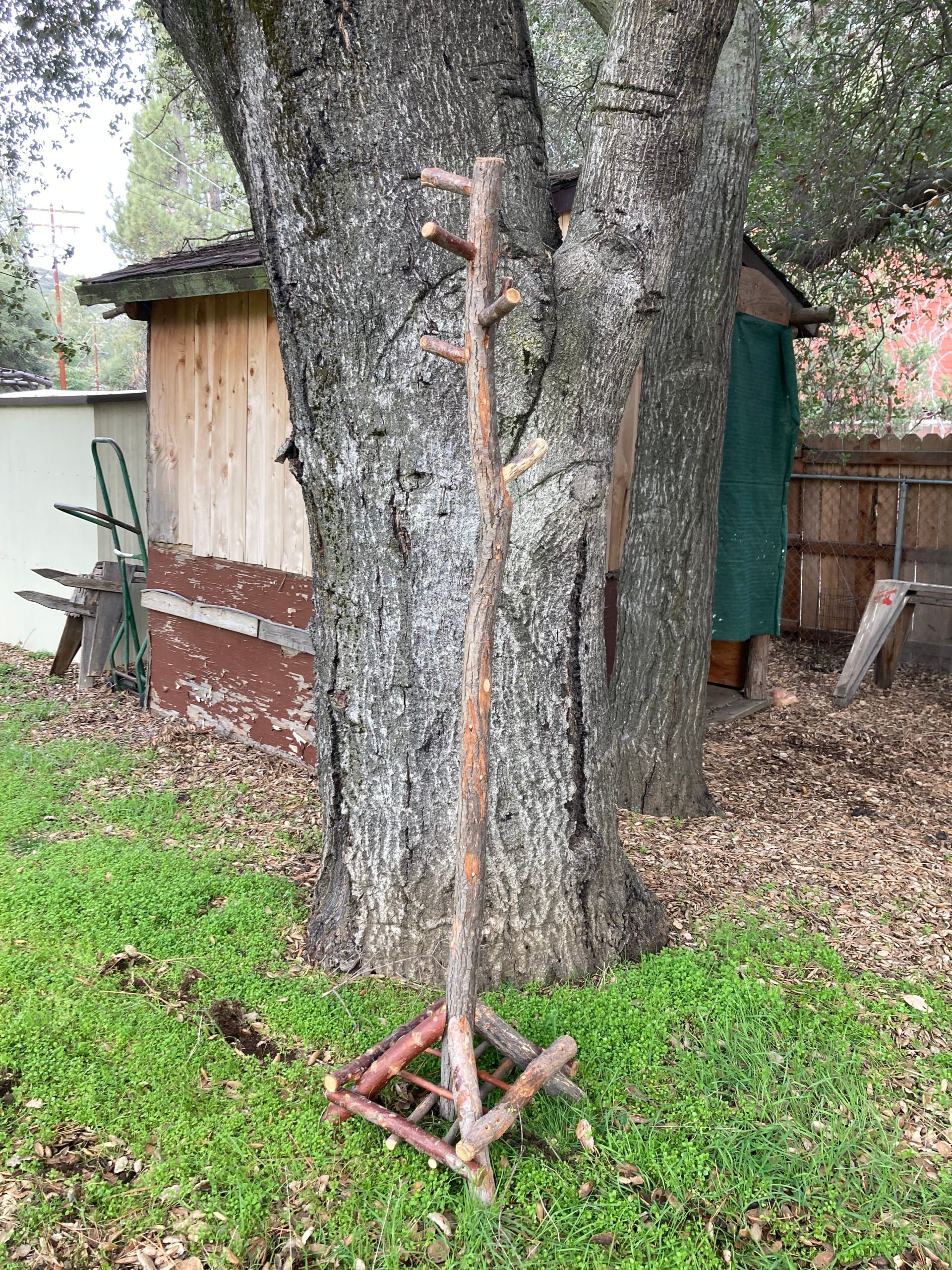 coat-rack-optimized